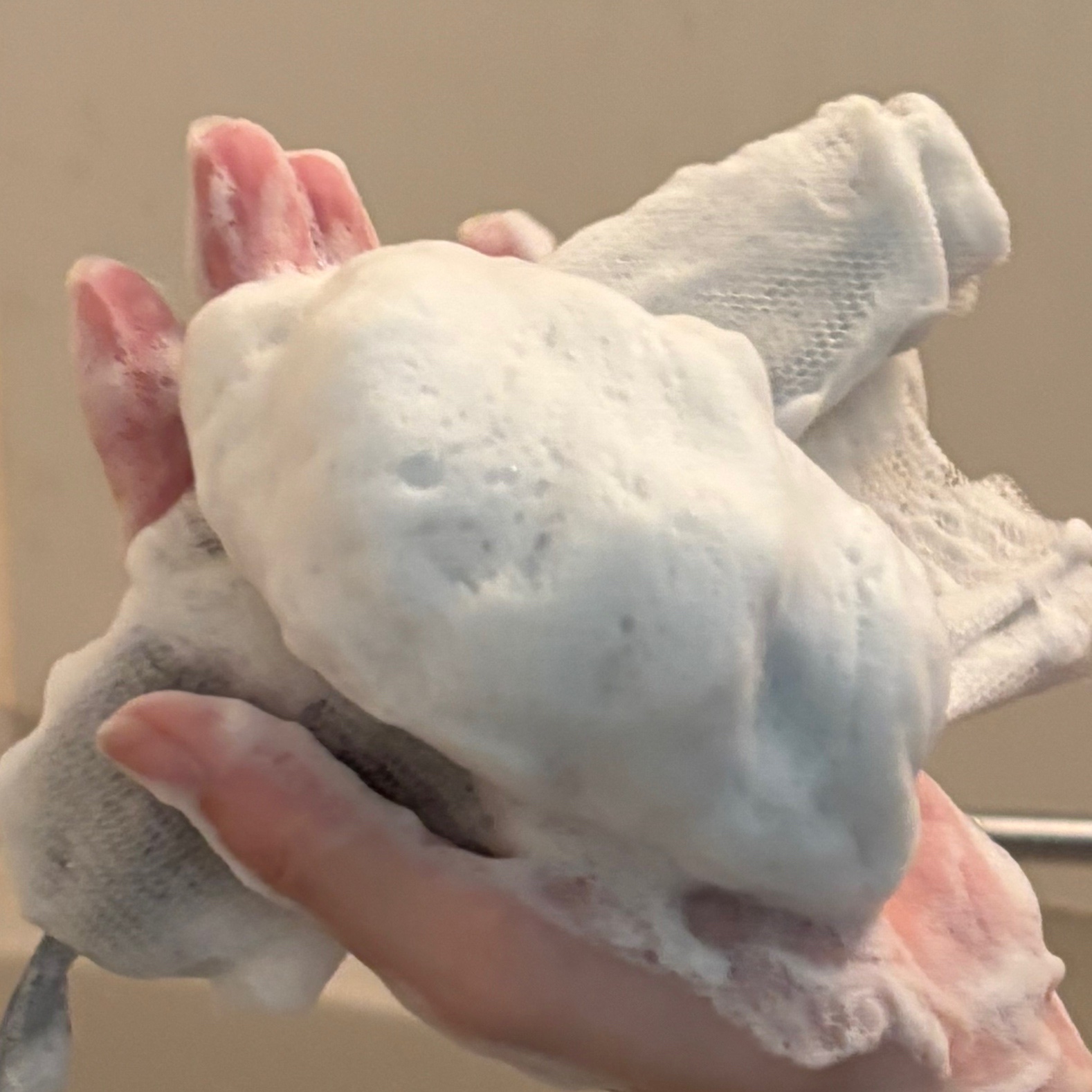 ディープクリア洗顔パウダー/ファンケル/洗顔パウダーを使ったクチコミ（2枚目）