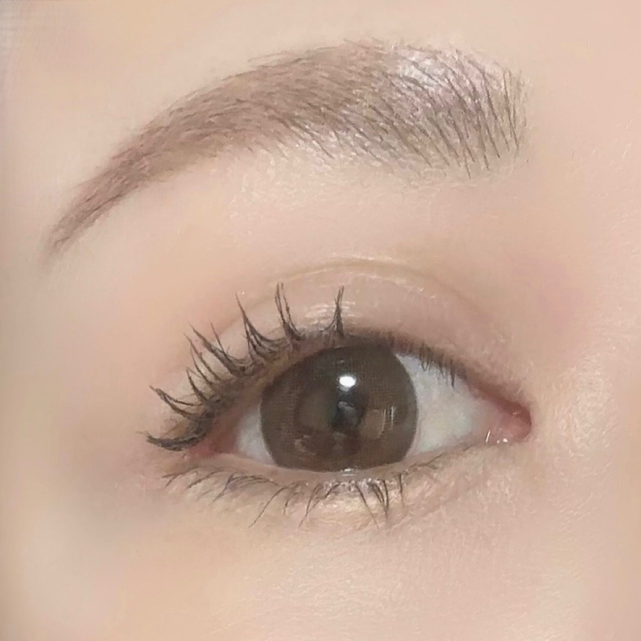 カールフィックスマスカラ/ETUDE/マスカラを使ったクチコミ（3枚目）