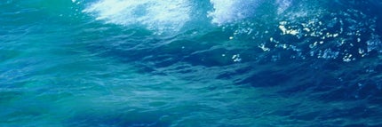 ザ リクイド ファンデーション 115/SUQQU/リキッドファンデーションの画像