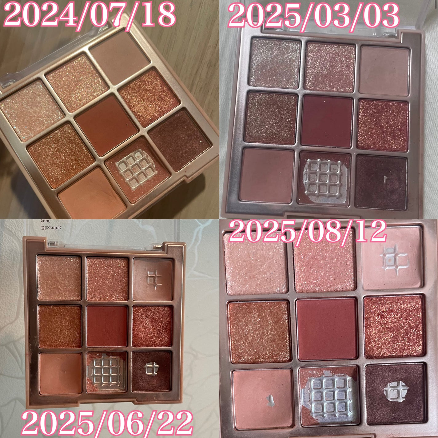 シャドウパレット/dasique/アイシャドウパレットを使ったクチコミ(1枚目)