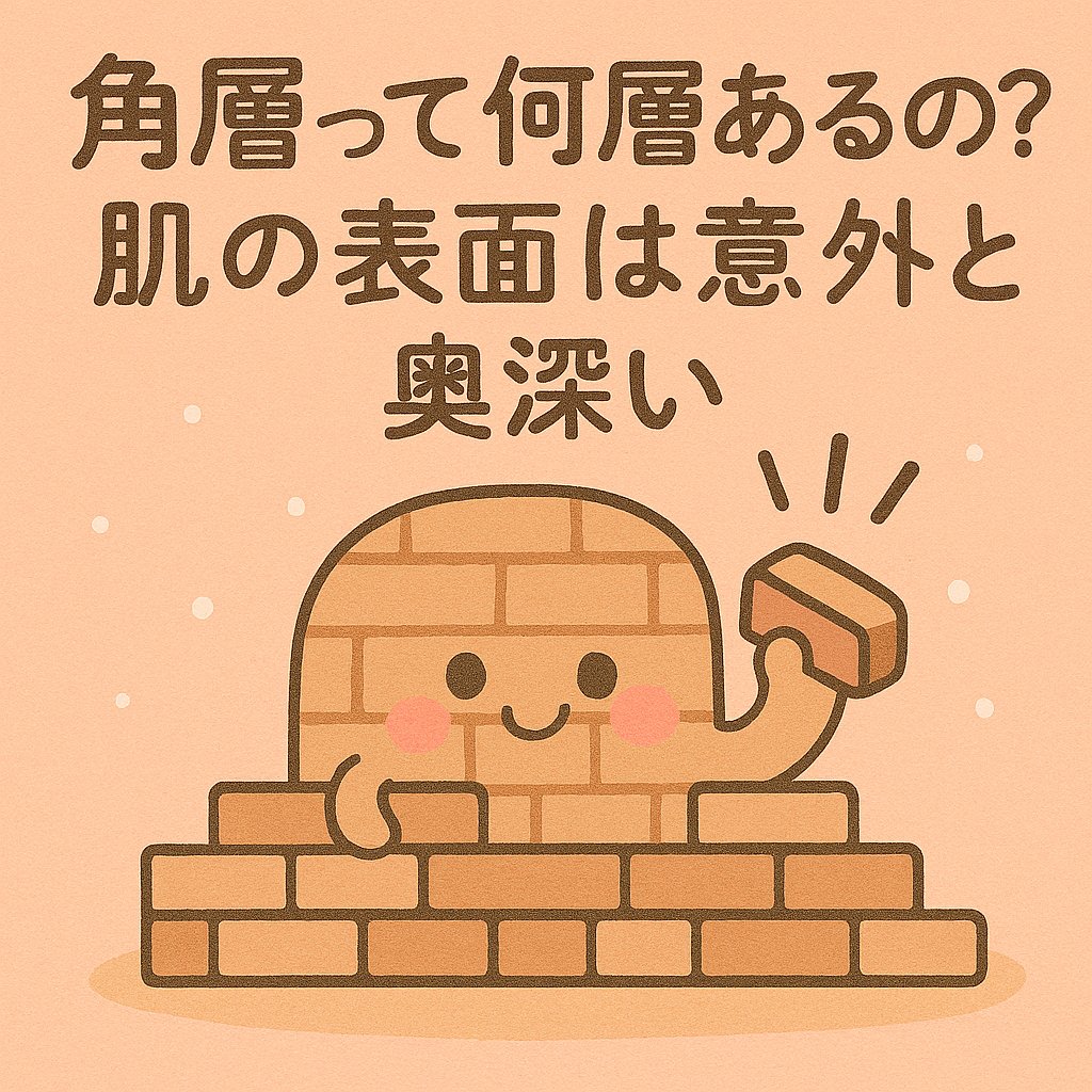 マツキヨ  セラミド化粧水/matsukiyo/化粧水を使ったクチコミ（1枚目）