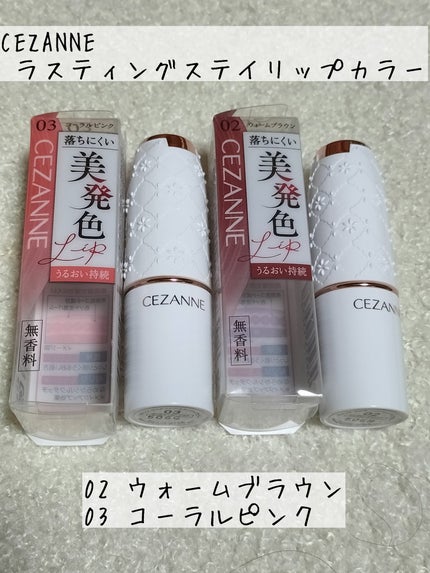 ラスティングステイリップカラー/CEZANNE/口紅・グロス・リップライナー・リップケアを使ったクチコミ(1枚目)