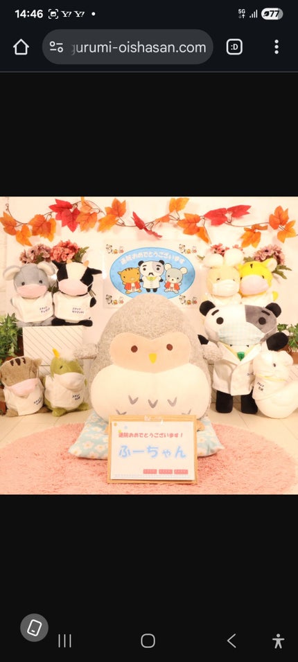 ふーちゃん on LIPS 「こんにちは🎵まだまだ暑い🔥☀️けどだいぶ涼しくなって来たね(>..」(5枚目)