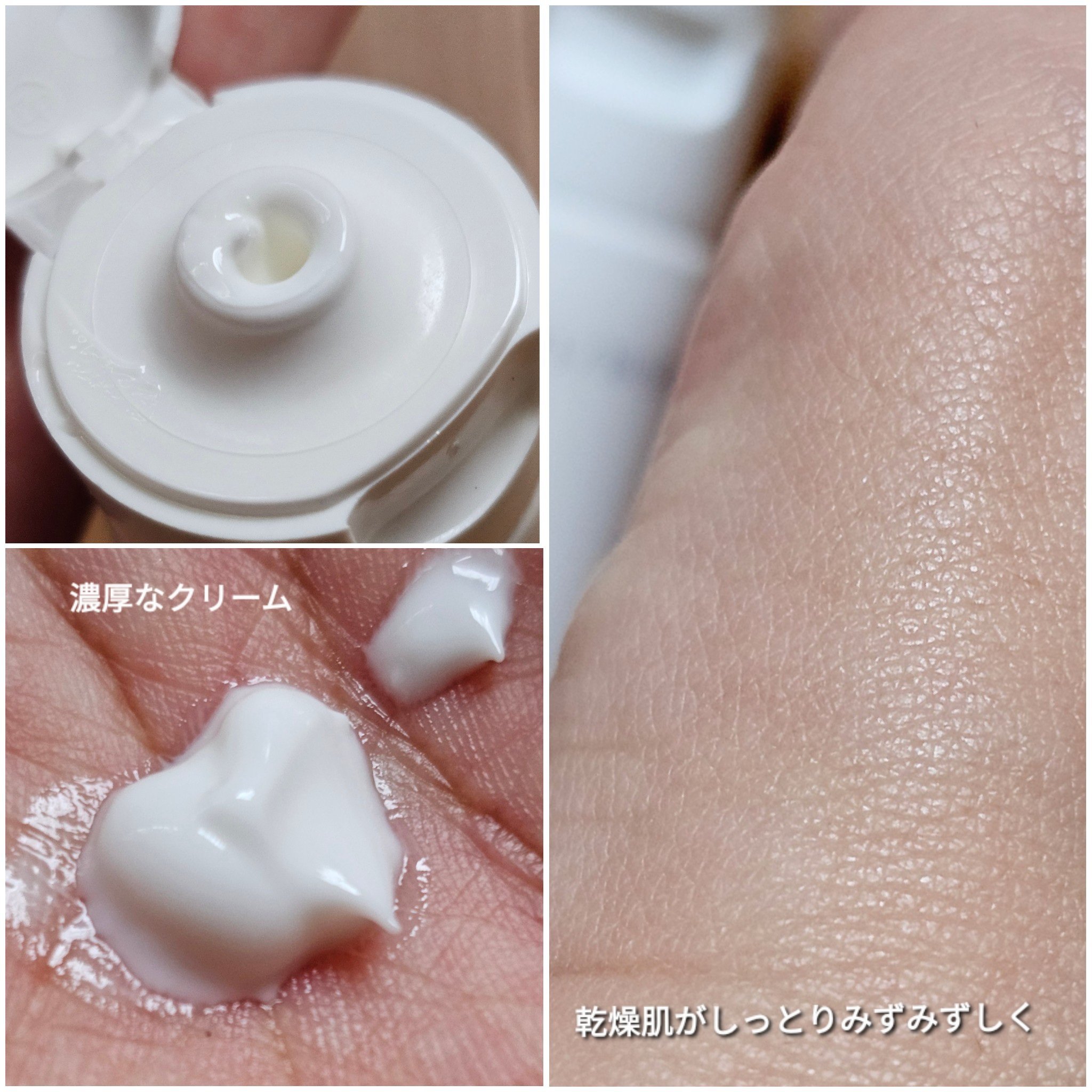 アドバンスドリペア AI クリーム/PHYSIOGEL/フェイスクリームを使ったクチコミ（2枚目）