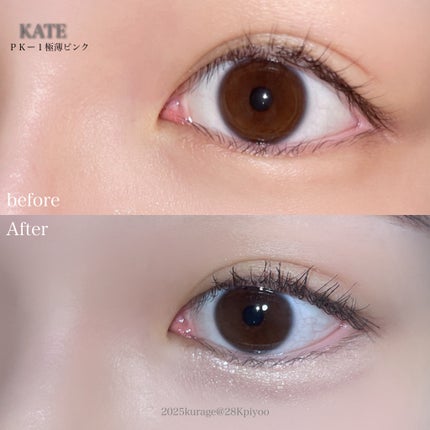 ダブルラインエキスパート LB-1 自然にみせる極薄ブラウン/KATE/リキッドアイライナーの画像