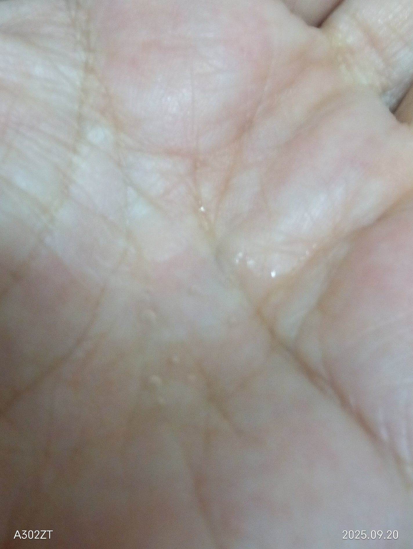 ナチュラル馬油/日本創健/フェイスオイルを使ったクチコミ(4枚目)