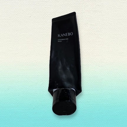 スクラビング マッド ウォッシュ/KANEBO/洗顔フォームを使ったクチコミ(1枚目)