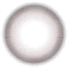 melotte 1day ダーリンフィグ/melotte/ワンデー（１DAY）カラコンを使ったクチコミ（3枚目）