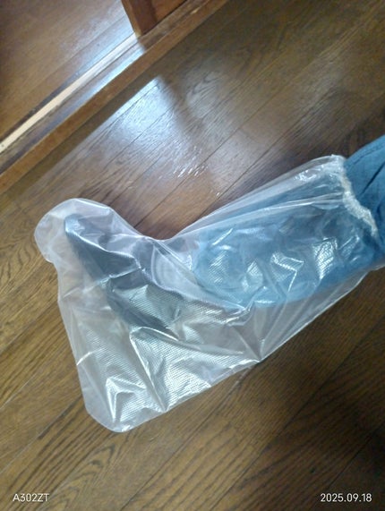 ðžsakuraðž on LIPS ãDAISOã«éšã®æ¥ã«äœ¿ããã·ã¥ãŒãºã«ããŒïŒãã£ããããåæã§3..ãïŒ4æç®ïŒ