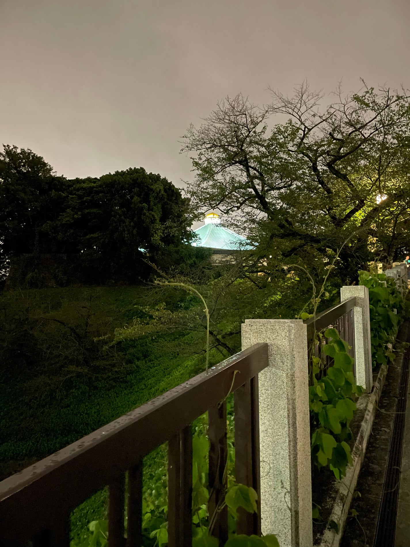 しのち☀️ on LIPS 「お知らせです昨日ドンコスのあとに武道館でフラカンのライブを観た..」(8枚目)