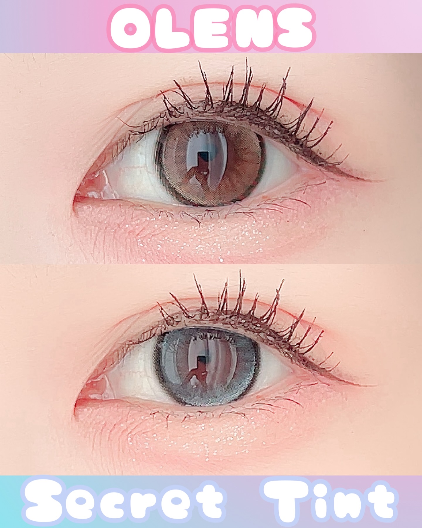 secret tint/OLENS/１ヶ月（１MONTH）カラコンを使ったクチコミ（1枚目）