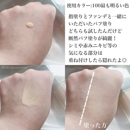 スポンジ(リキッドファウンデイション用)/IPSA/パフ・スポンジを使ったクチコミ(3枚目)