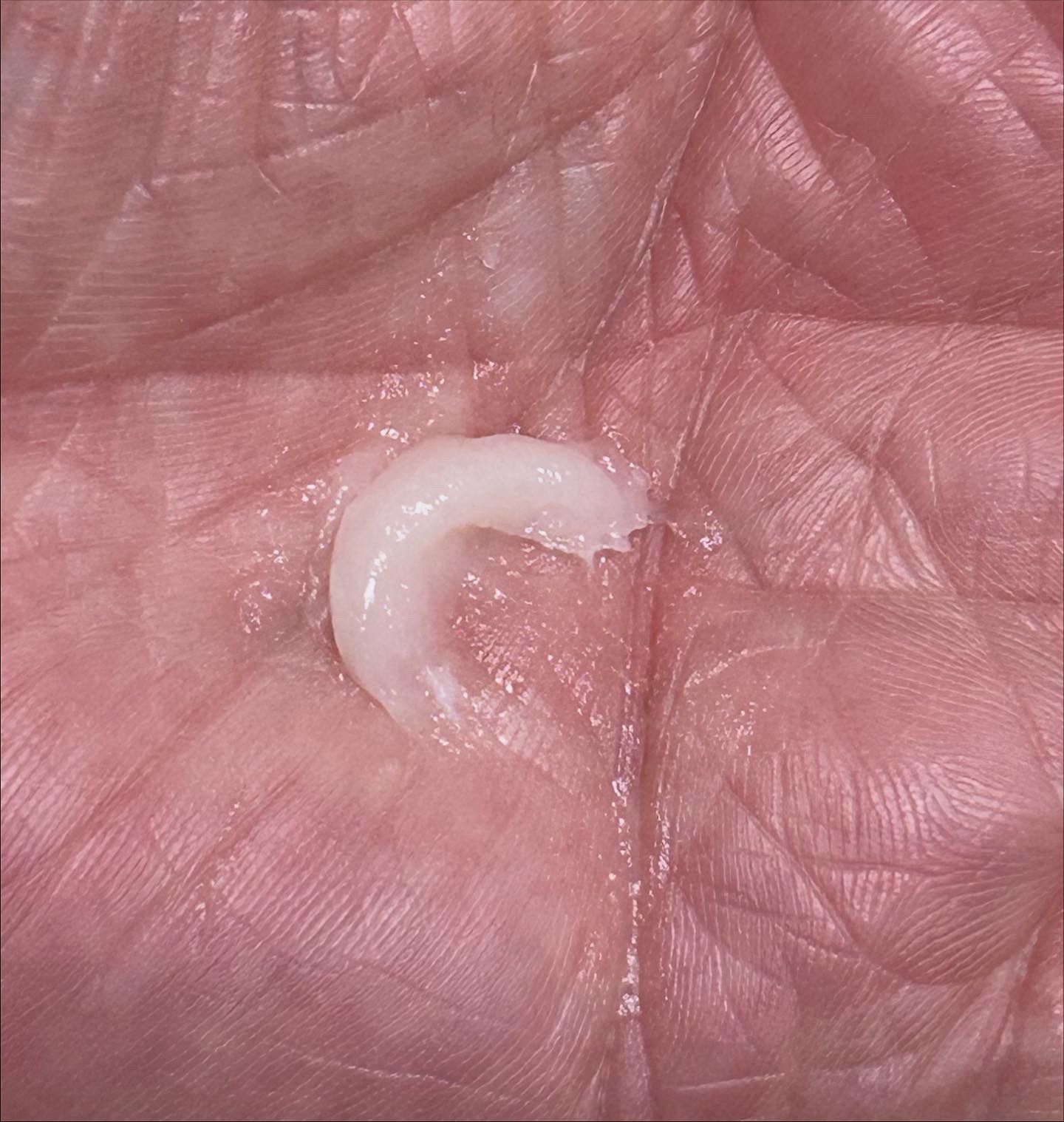 リペアターンジェラートヘアパック バウンシーベリー/リリーイブ/洗い流すヘアトリートメントを使ったクチコミ（3枚目）