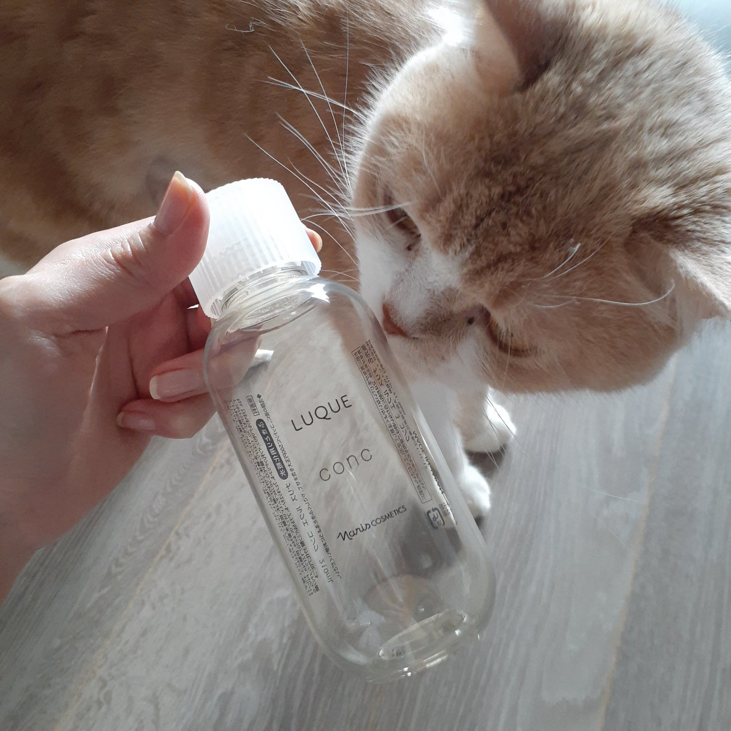 ルクエ コンク/ナリス化粧品/拭き取り化粧水を使ったクチコミ(2枚目)