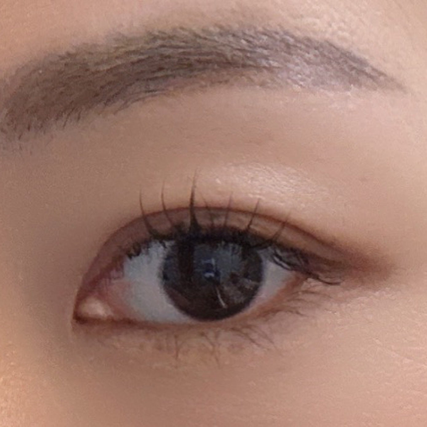 Lock On アイラッシュセラム/NICORIO(ニコリオ)/まつげ美容液を使ったクチコミ(3枚目)