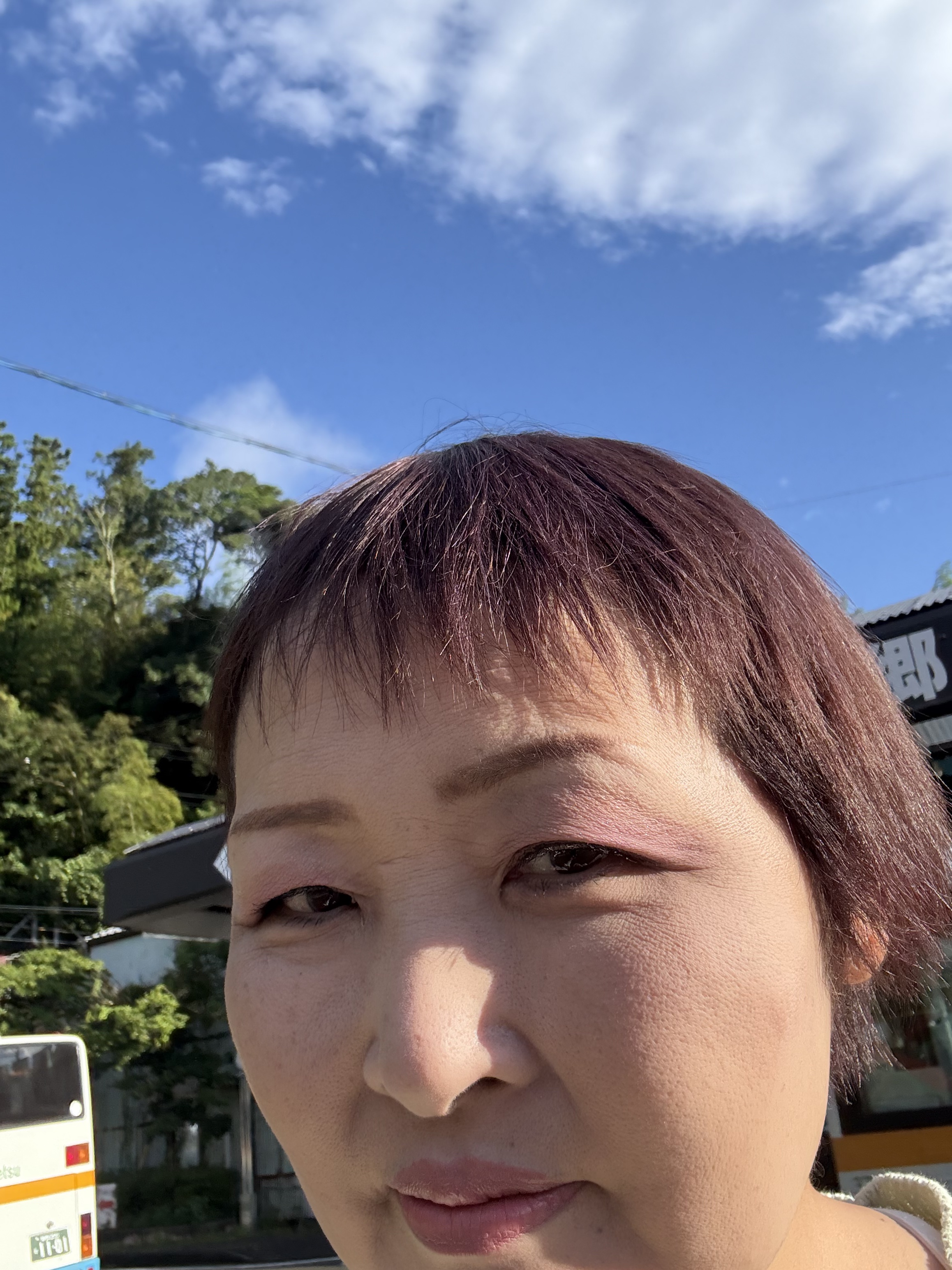 ブラッシュ デュオ/ALBION/パウダーチークを使ったクチコミ（2枚目）