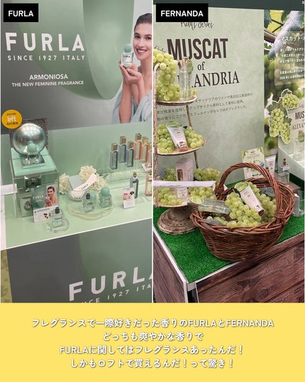 ayuka⌇コスメオタク on LIPS 「ロフトコスメフェスティバル参加してきたよ〜💛⋆┈┈┈┈┈┈┈┈..」(7枚目)