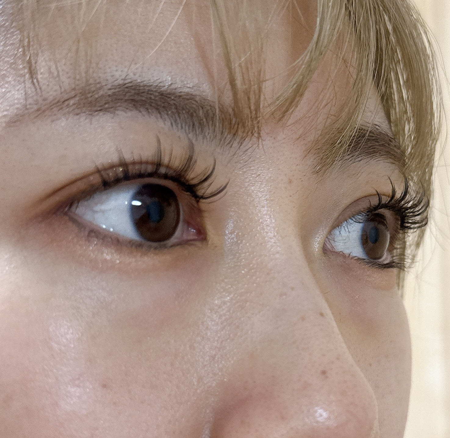 WOSADO マグネット式つけまつ毛/WOSADO/その他を使ったクチコミ（3枚目）