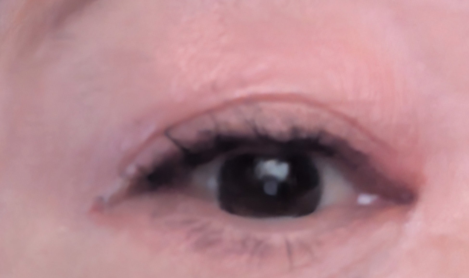 カラーステイ ルックス ブック パレット/REVLON/アイシャドウパレットを使ったクチコミ（2枚目）