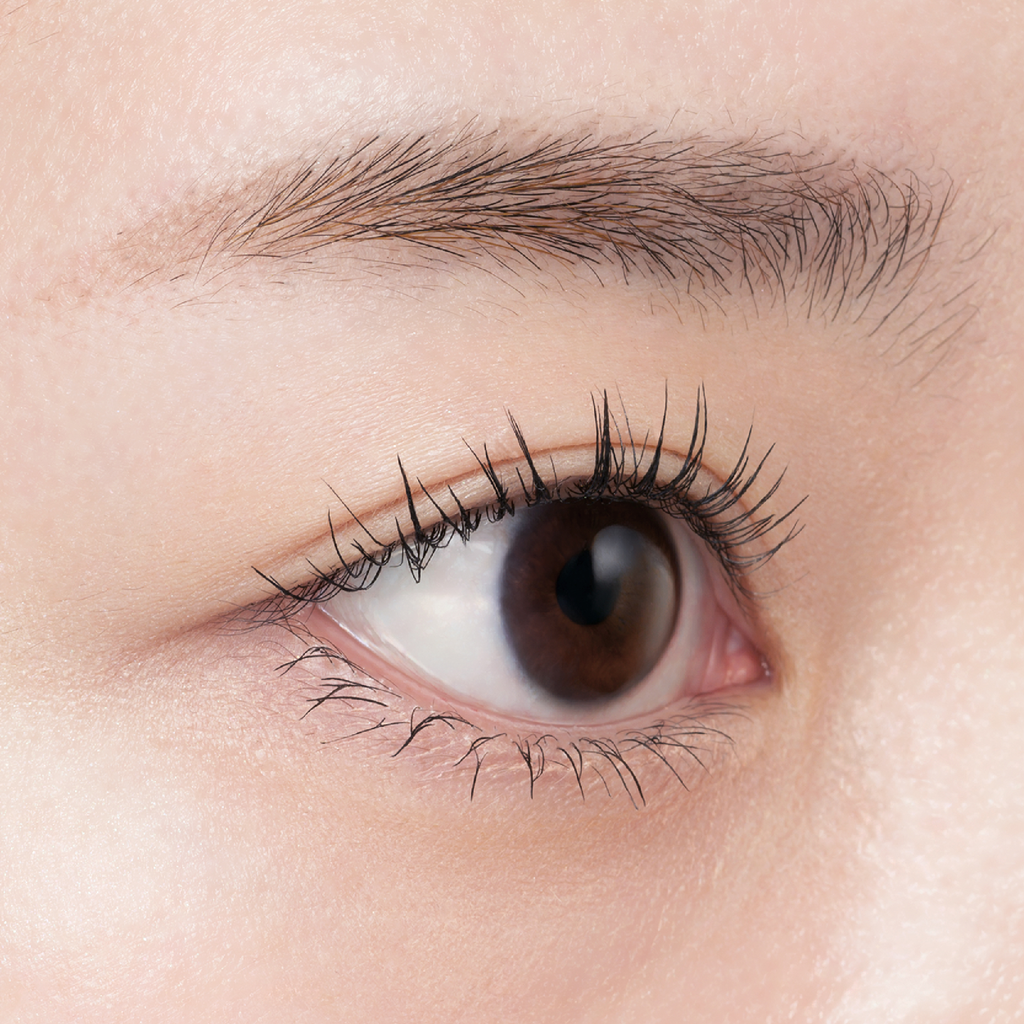 フェアリードロップス クアトロラッシュ (マスカラ ウォータープルーフタイプ)  CLEAR BLACK