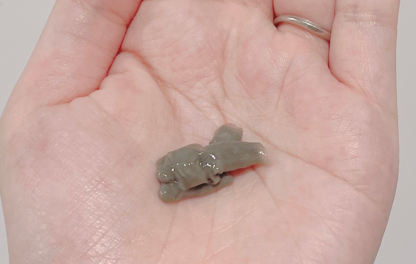 バスターカラーシャンプー/トリートメント/OCEAN TRICO/カラーシャンプーを使ったクチコミ(3枚目)