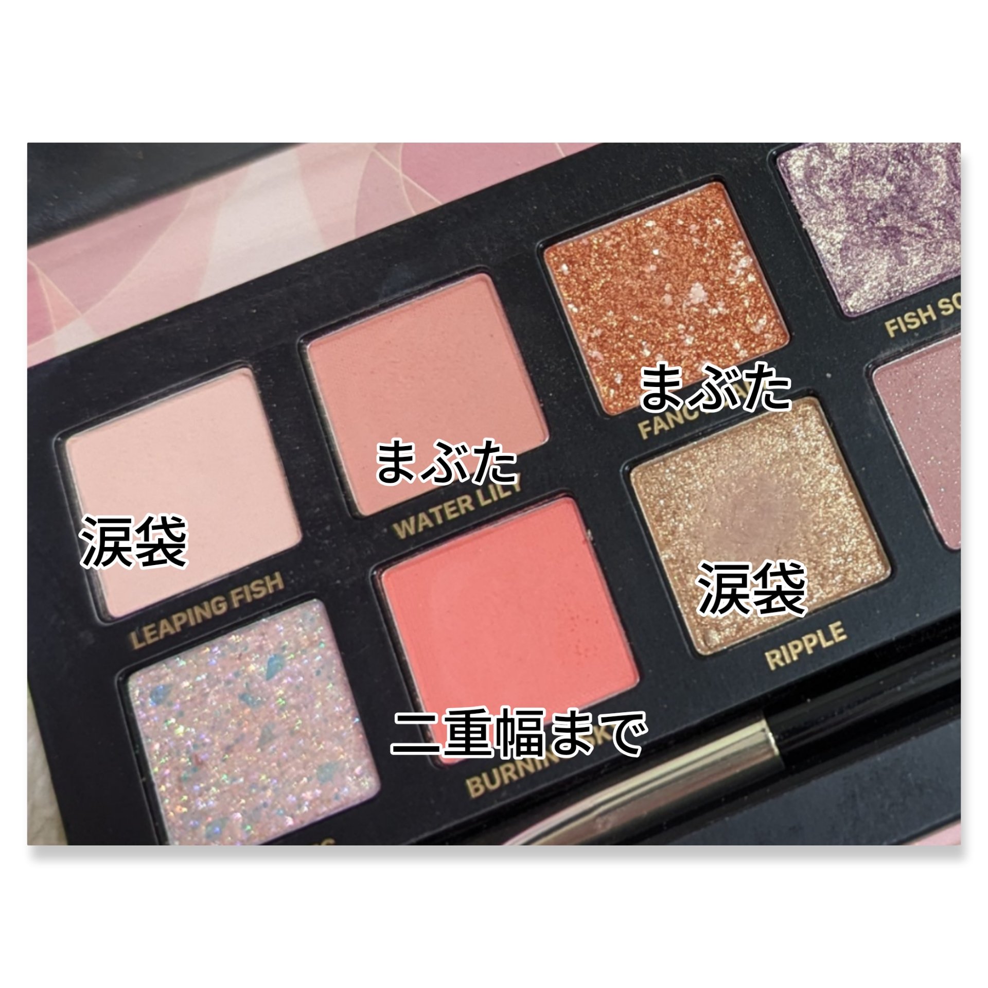 エクスプローラ12色 動物アイシャドウパレット/PERFECT DIARY/アイシャドウパレットを使ったクチコミ（3枚目）