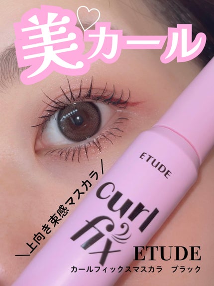 カールフィックスマスカラ/ETUDE/マスカラを使ったクチコミ(1枚目)