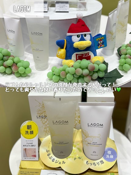 かぷりこ | フォロバ100%🎀 on LIPS 「.コスメ買うならドン・キホーテ💄✨/#ドンコスフェスティバル2..」(5枚目)