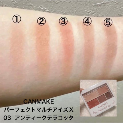 パーフェクトマルチアイズ/キャンメイク/アイシャドウパレットを使ったクチコミ(3枚目)