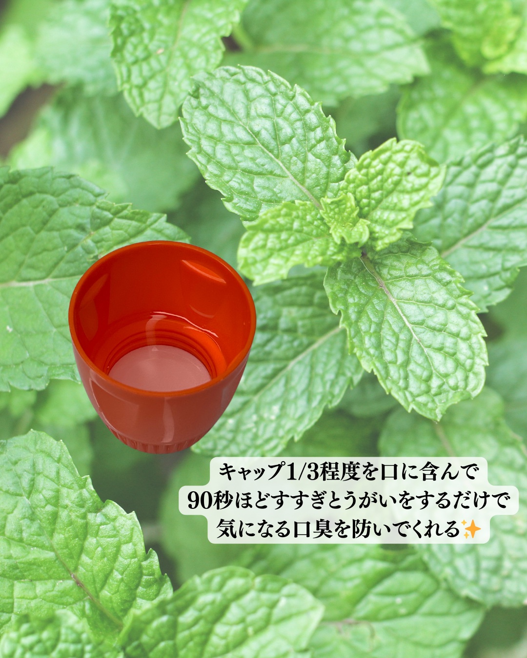 ザ・ブレスコ オーラルリンス/The Breath Co./マウスウォッシュ・スプレーを使ったクチコミ（2枚目）