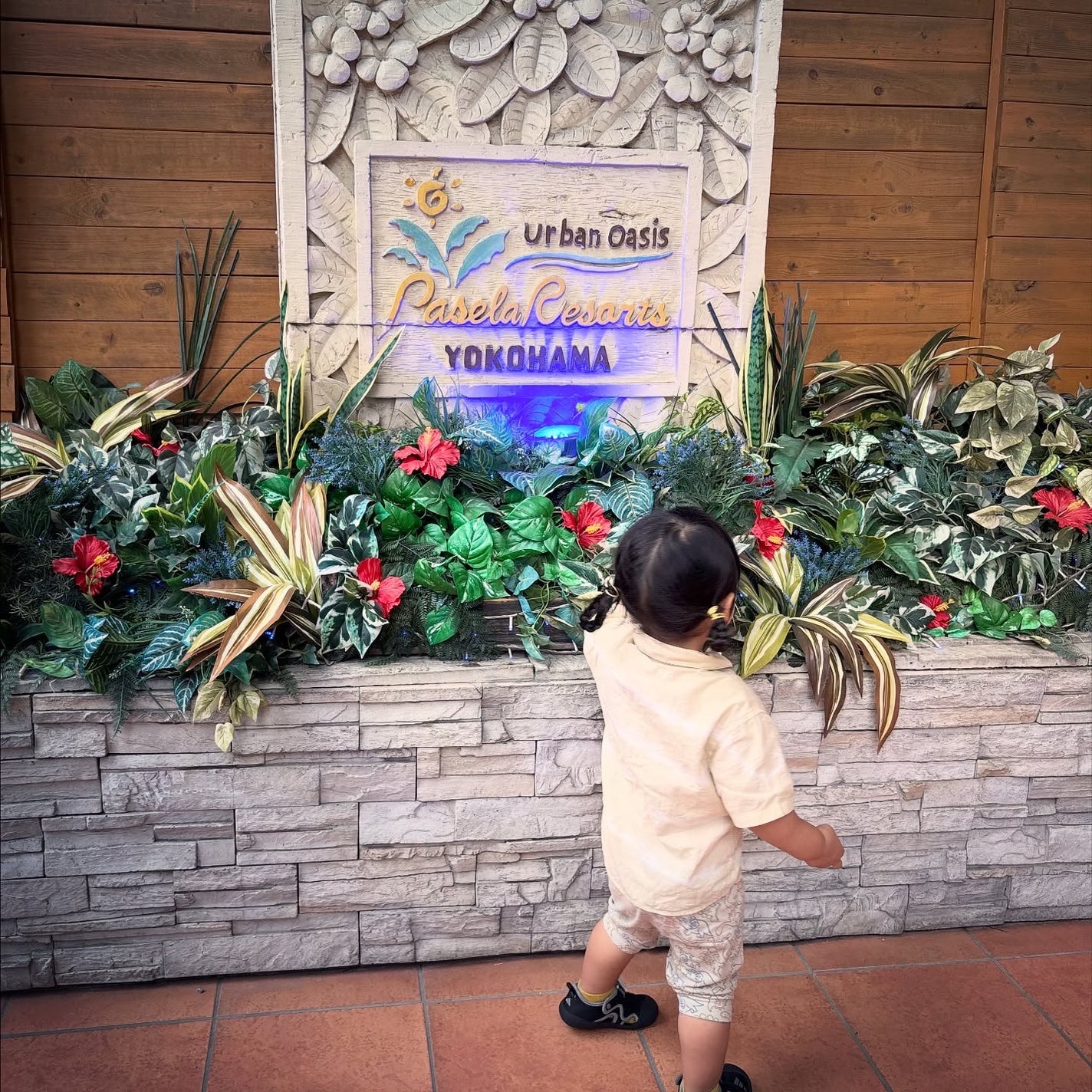 Coala on LIPS ãðŠããããŒã«ãã§é¢å
ãã»ã©ã«ããããããŒã«ãã§ãžð¯â¡é£ãã³ãäž..ãïŒ4æç®ïŒ