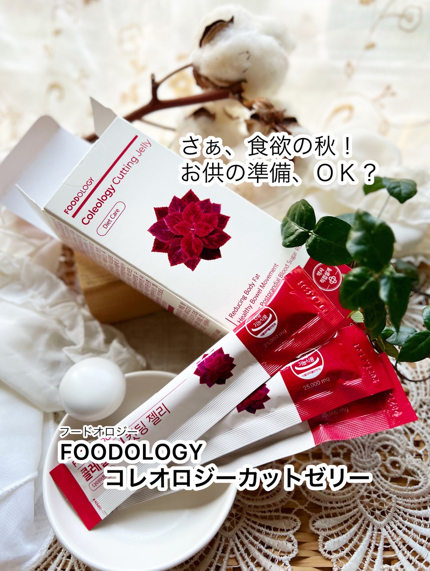 コレオロジーカットゼリー/FOODOLOGY/食品を使ったクチコミ(1枚目)