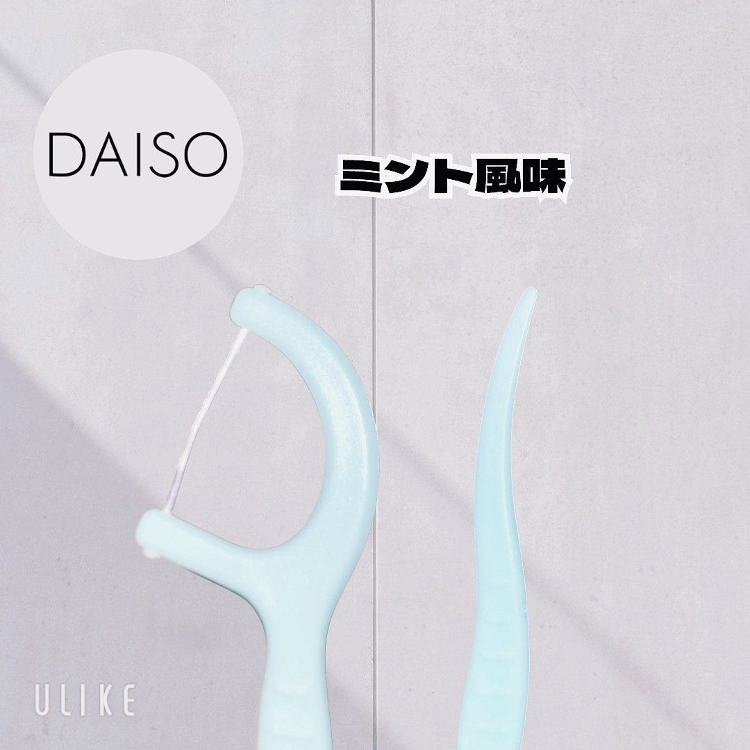 フロス＆ピック(ミント)/DAISO/デンタルフロス・歯間ブラシを使ったクチコミ（2枚目）