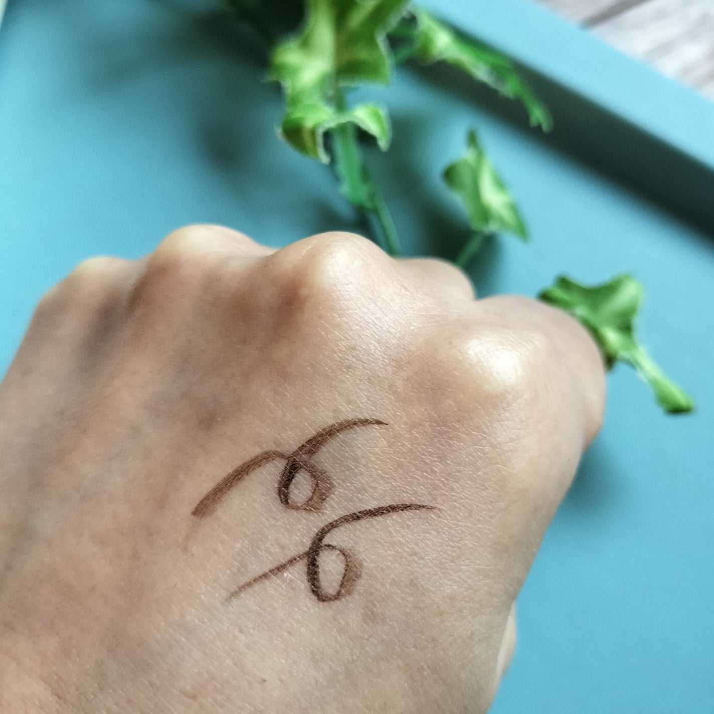 リキッドアイライナーR5/ラブ・ライナー/リキッドアイライナーを使ったクチコミ(2枚目)