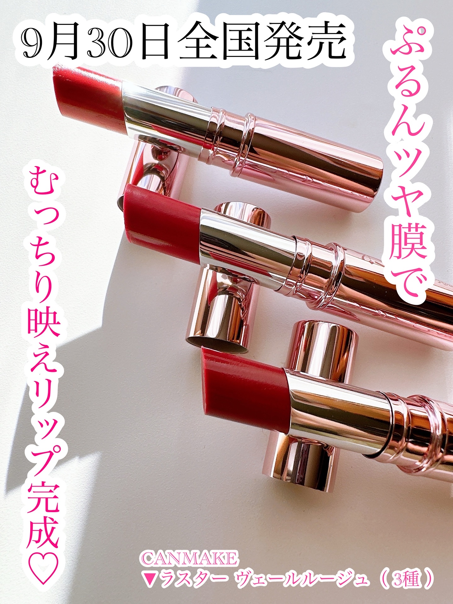 ラスターヴェールルージュ/キャンメイク/口紅を使ったクチコミ（1枚目）