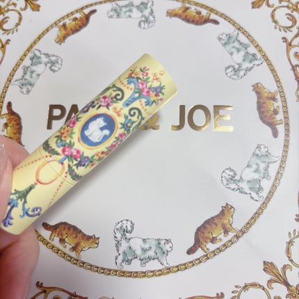 リップスティック ケース CS/PAUL & JOE BEAUTE/その他化粧小物を使ったクチコミ(1枚目)