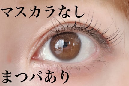 EMAKED(エマーキット)/水橋保寿堂製薬/まつげ美容液を使ったクチコミ(2枚目)
