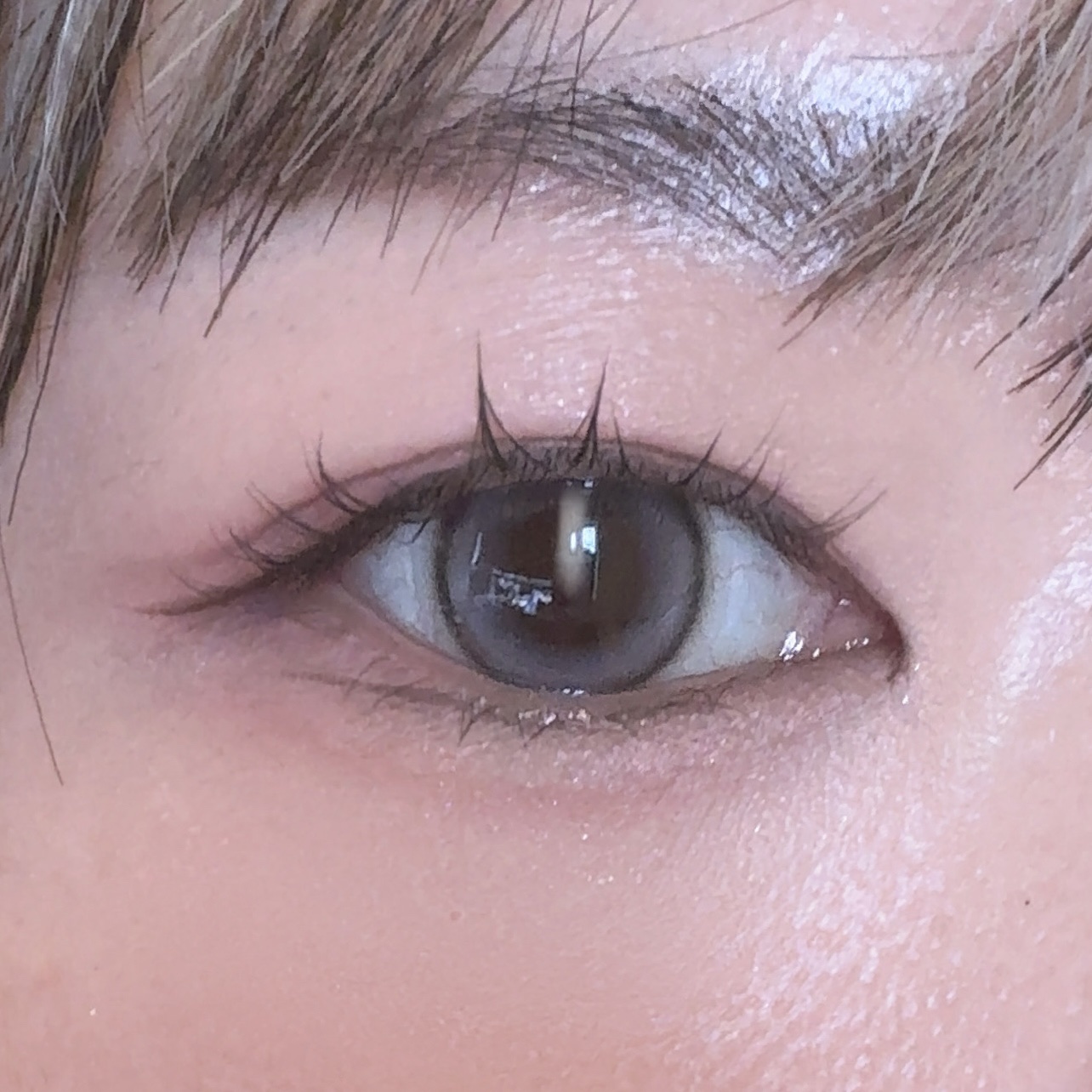 LilMe 1day/LilMe/ワンデー（１DAY）カラコンを使ったクチコミ（1枚目）