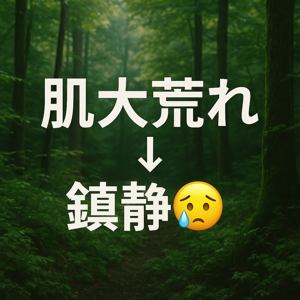 スパークリングVCミスト/RAFRA/ミスト状化粧水を使ったクチコミ（1枚目）