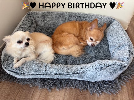 upink × make YOU up 3way メランジュールリップ/upink/口紅を使ったクチコミ(7枚目)