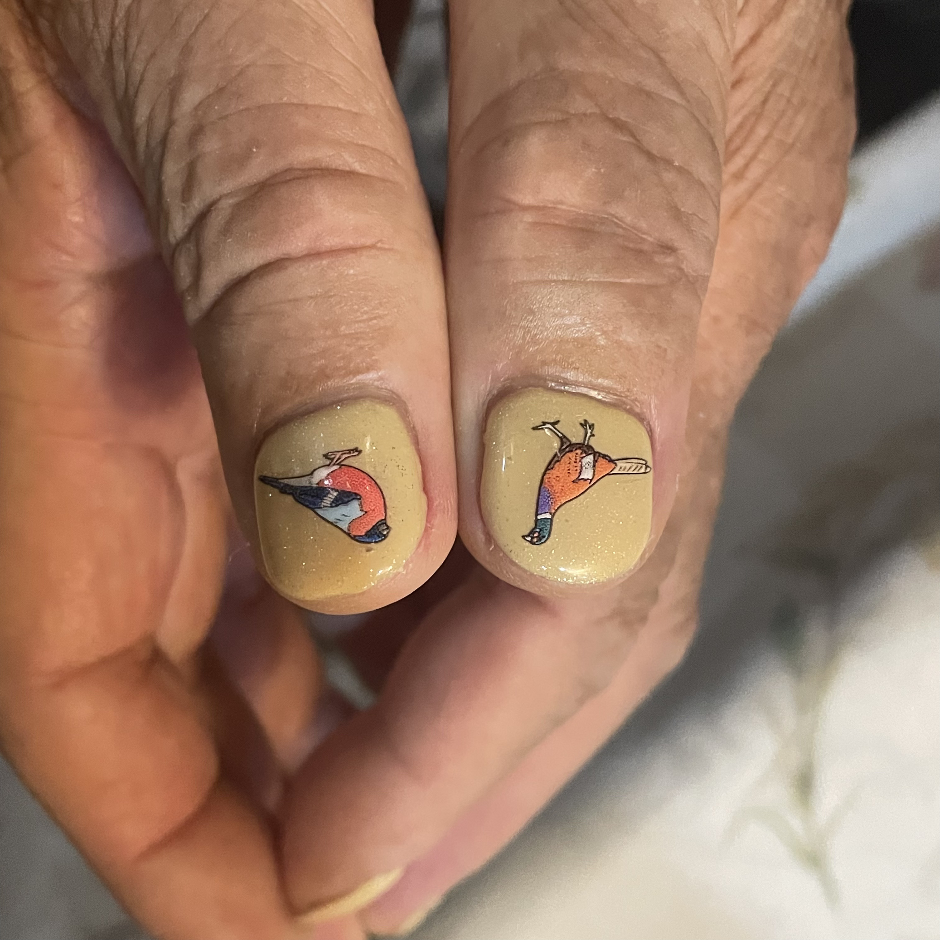 #ネイル,#ジェルネイル,#キラキラネイル,#簡単ネイル,#夏ネイル,#秋ネイル,#冬ネイル,#大人ネイル,#大人ネイル,#韓國ネイル,#フットネイルのネイルデザイン