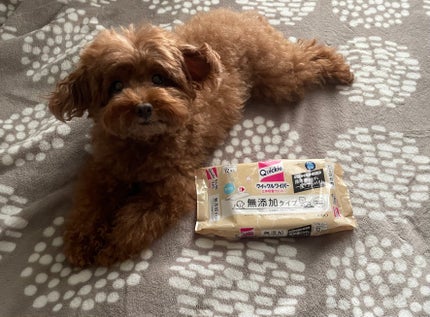 を使ったクチコミ(3枚目)