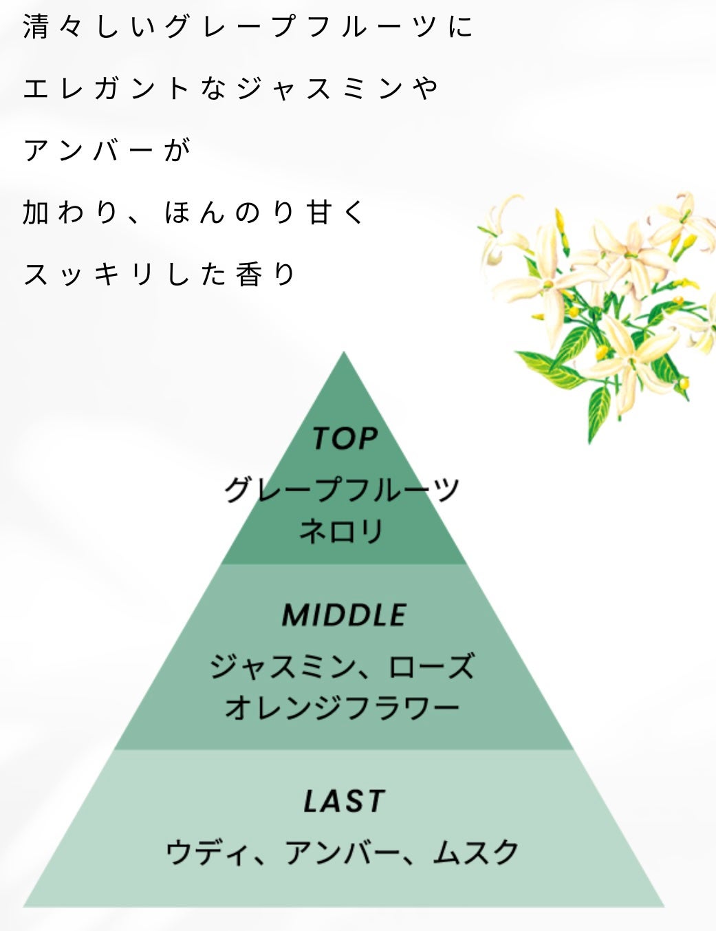 しっとり/シャンプー&トリートメント/ダイアン/市販シャンプーを使ったクチコミ(4枚目)