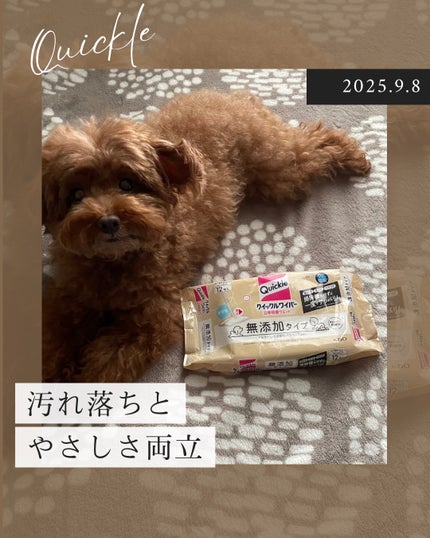 を使ったクチコミ(1枚目)