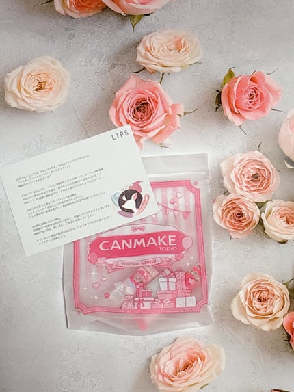 ラスターヴェールルージュ/キャンメイク/口紅を使ったクチコミ(1枚目)