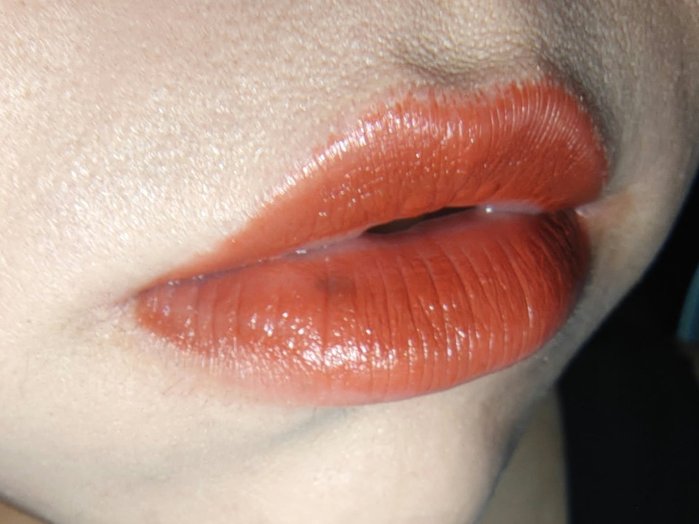 ピュア チーク カラー/heme/パウダーチークを使ったクチコミ(5枚目)