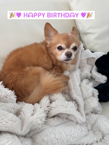 upink × make YOU up 3way メランジュールリップ/upink/口紅を使ったクチコミ(8枚目)