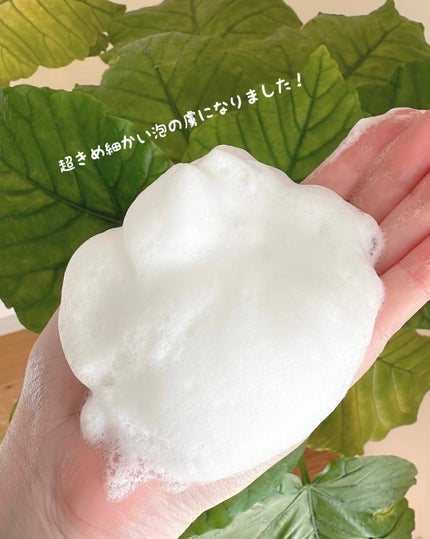 緑豆弱酸性洗顔フォーム/beplain/洗顔フォームを使ったクチコミ(4枚目)