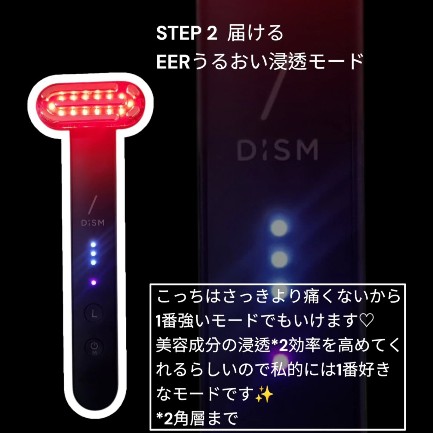 試してみた】DISM ディズム EMS EER メディスキンケアデバイスのリアル