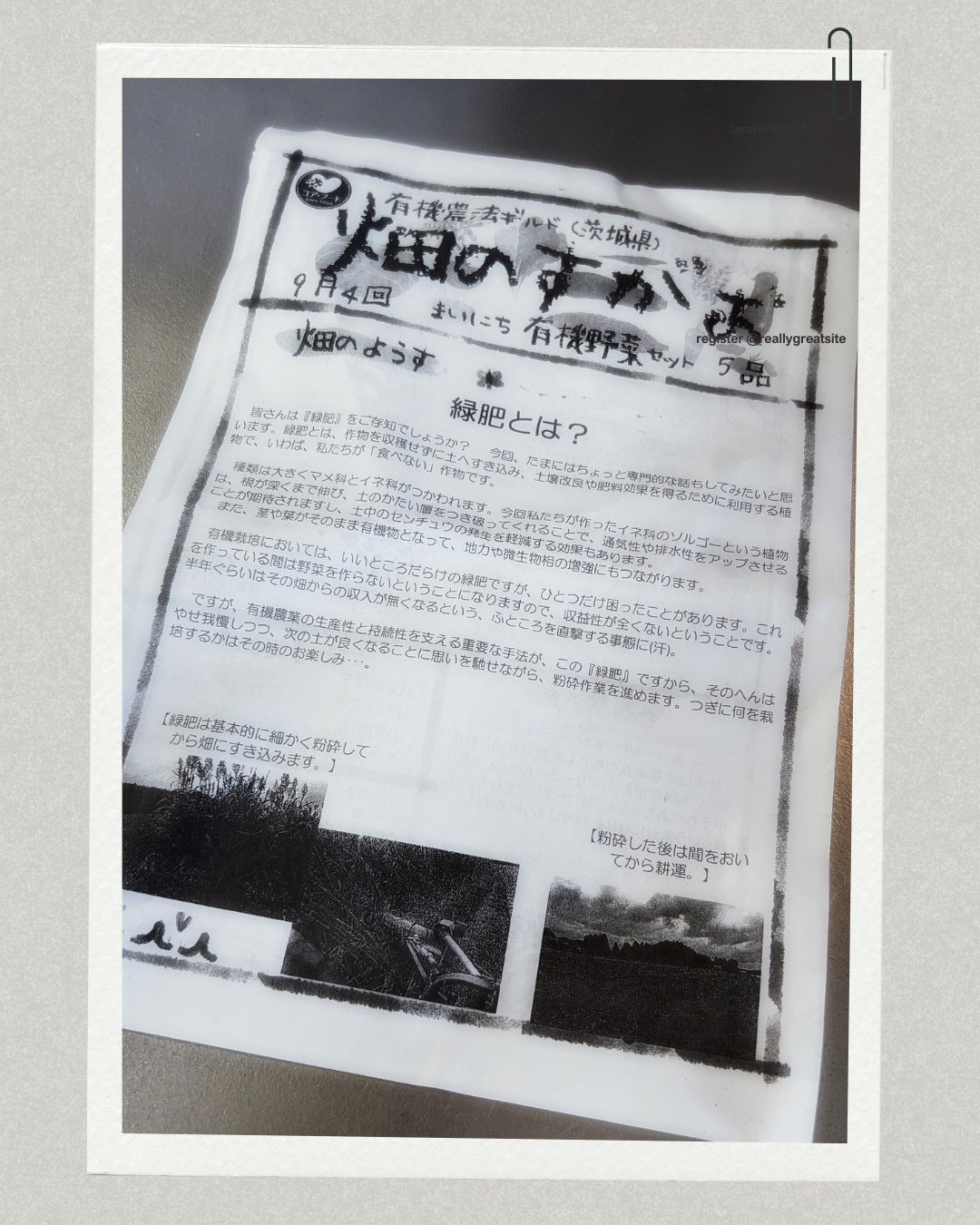 ひふみレイキ💫フォロバ♾️ on LIPS 「今週の123ビューティチャージ📦旅行でタベソダを1週間お休みし..」(3枚目)